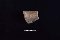 陶罐藏品圖，第2張